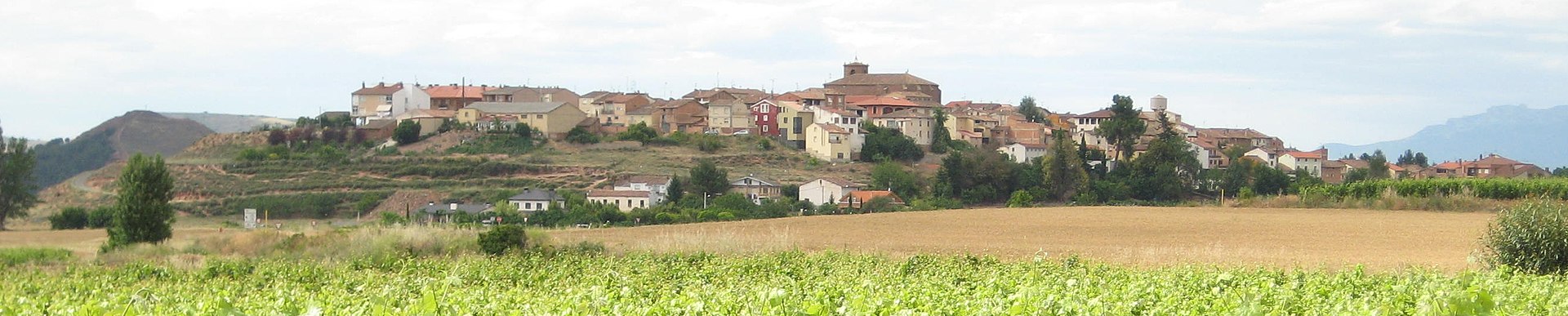Vista panorámica de Tricio