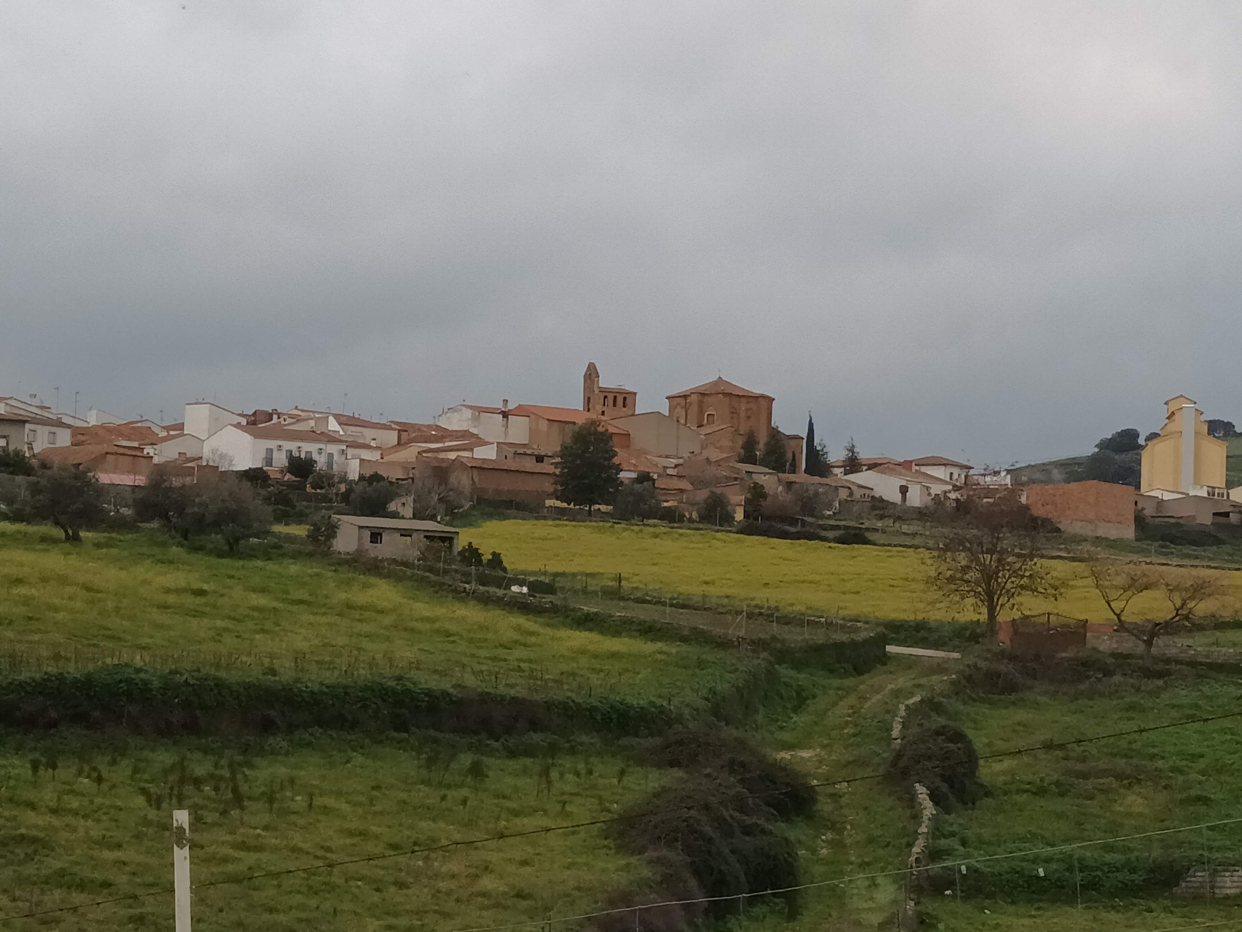 Vista panorámica de Alía (foto del autor).