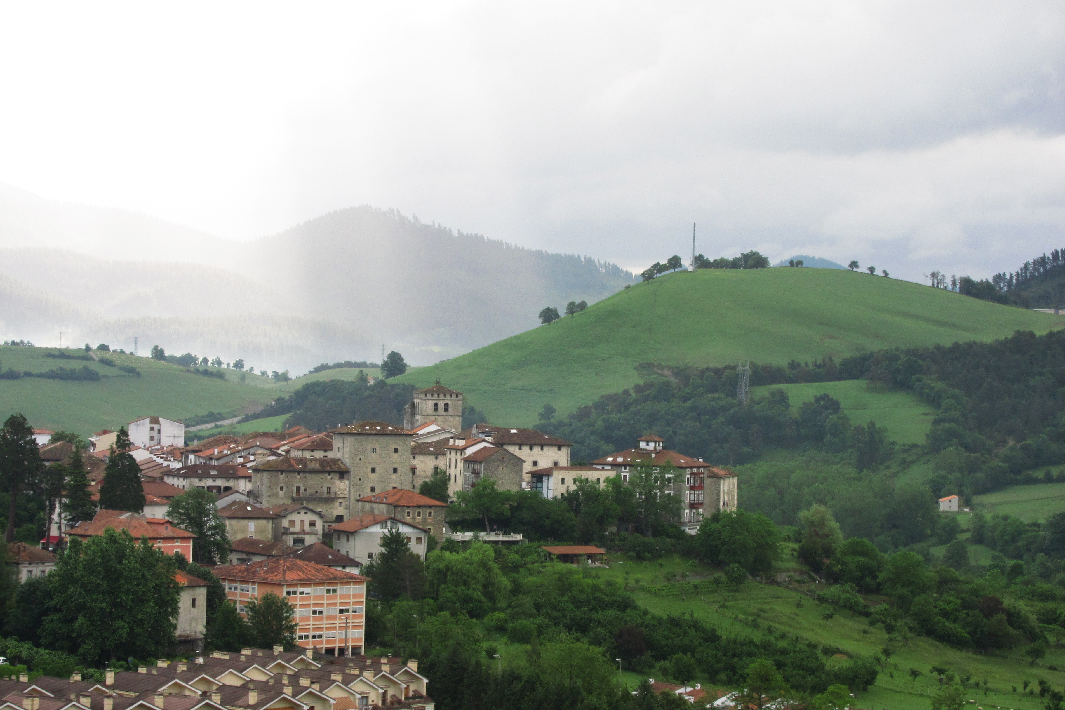 Artziniega herria hurbiletik ikusita. Felix Mugurutzaren argazkia.