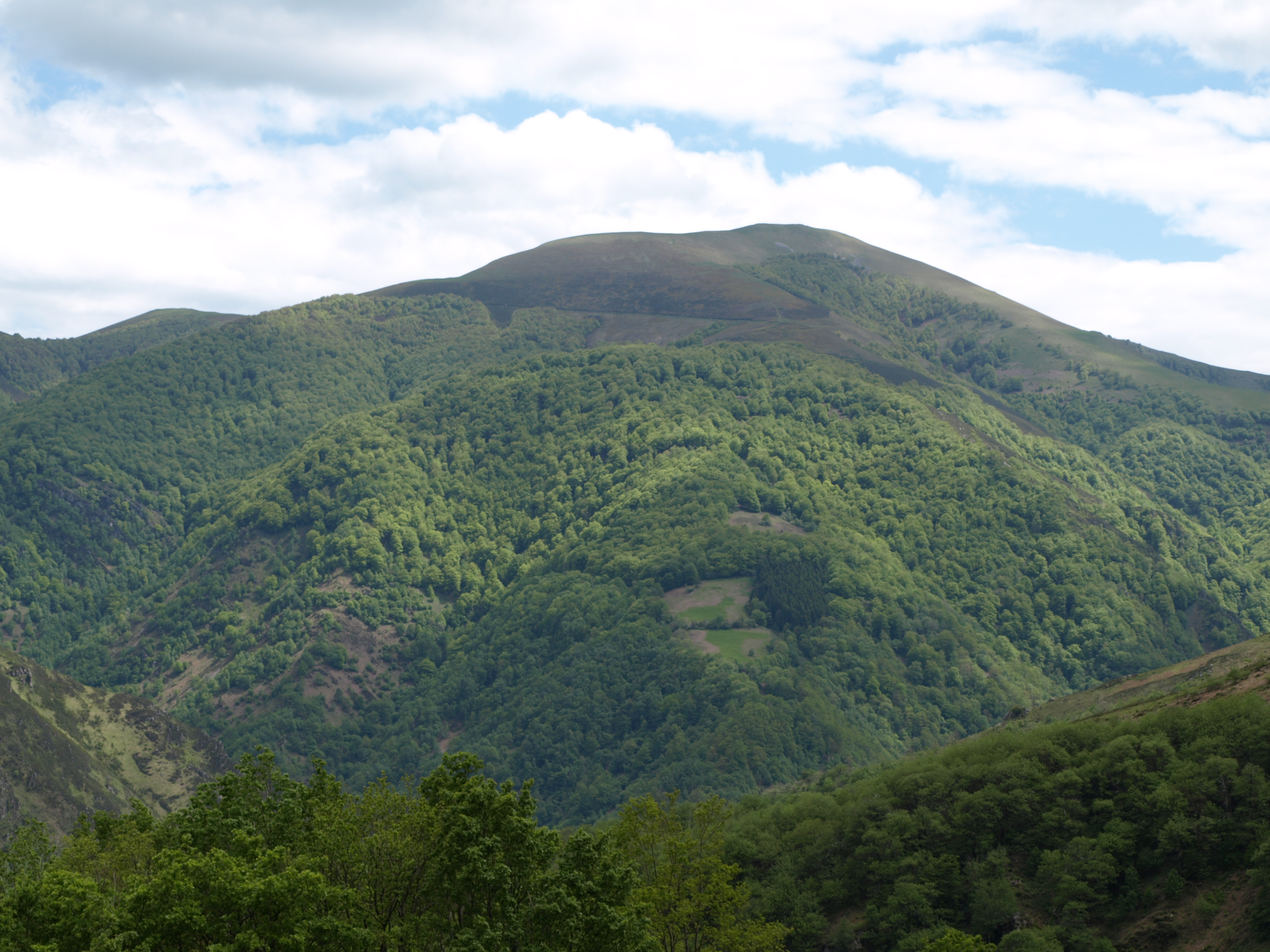 Astabizkar udan. Peio Kamino Kaminondoren argazkia.