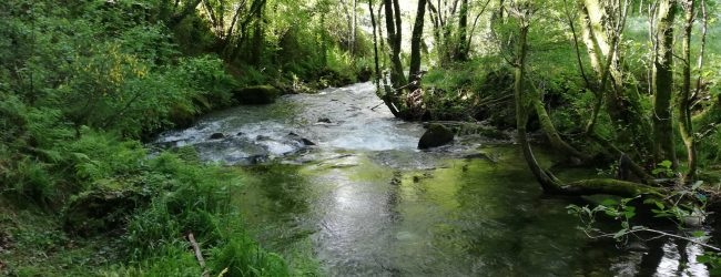 Rio Coura (crédito: Notícias de Coura, 29/05/2019)