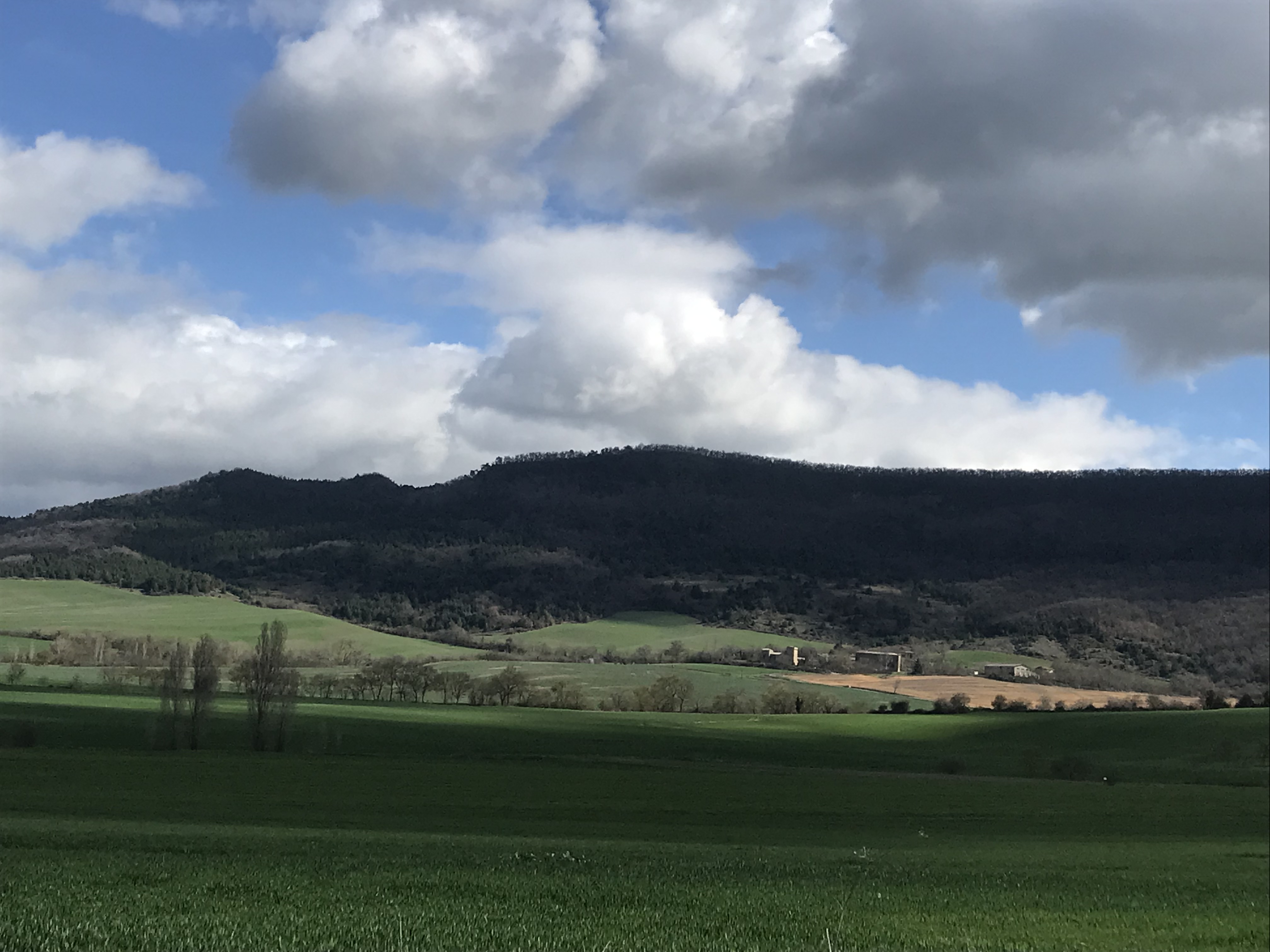 Gongora urrunxkotik. Lidia Salaberriren argazkia.