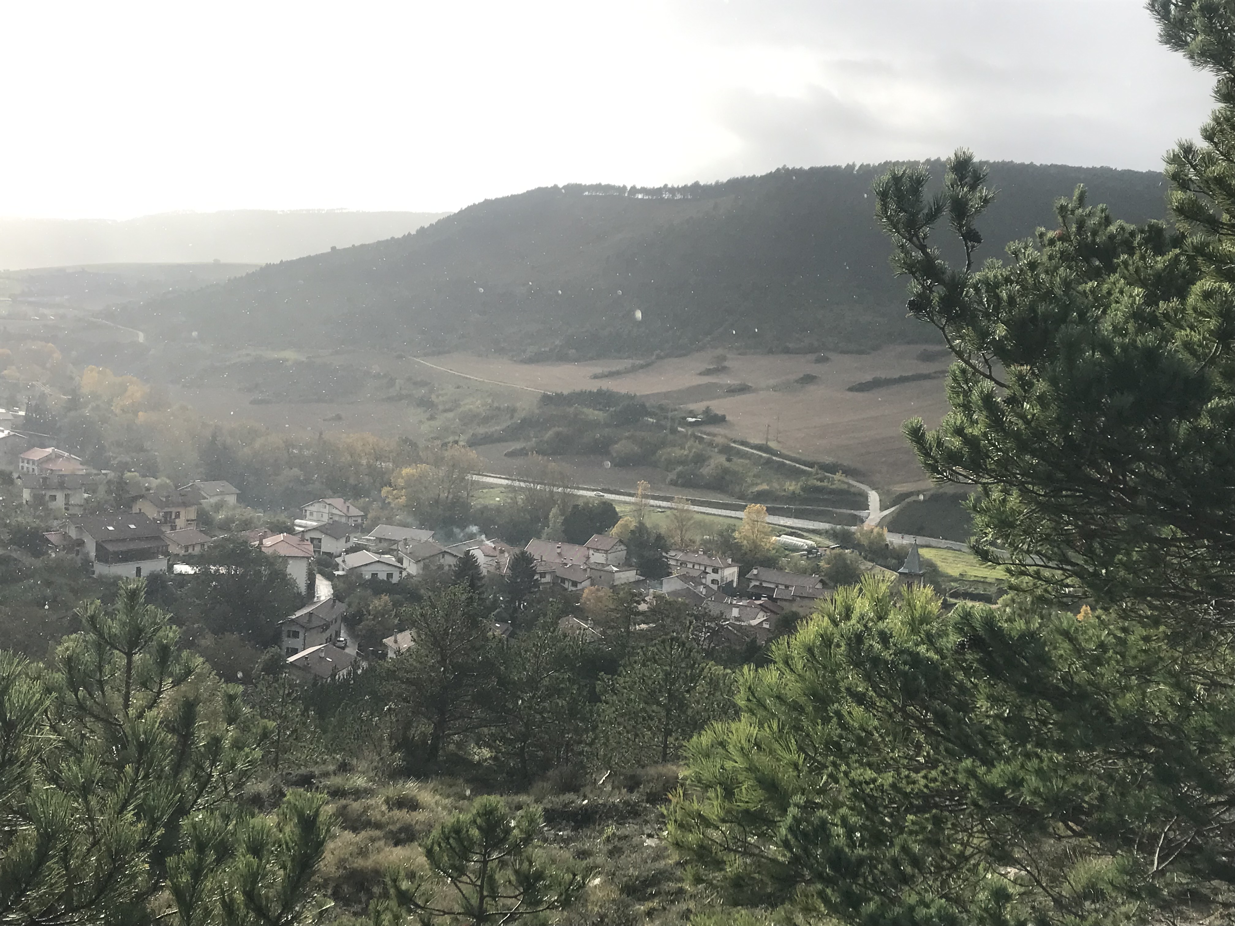 Sorauren euripean, Arromendiko bidetik ikusita. Lidia Salaberriren argazkia.