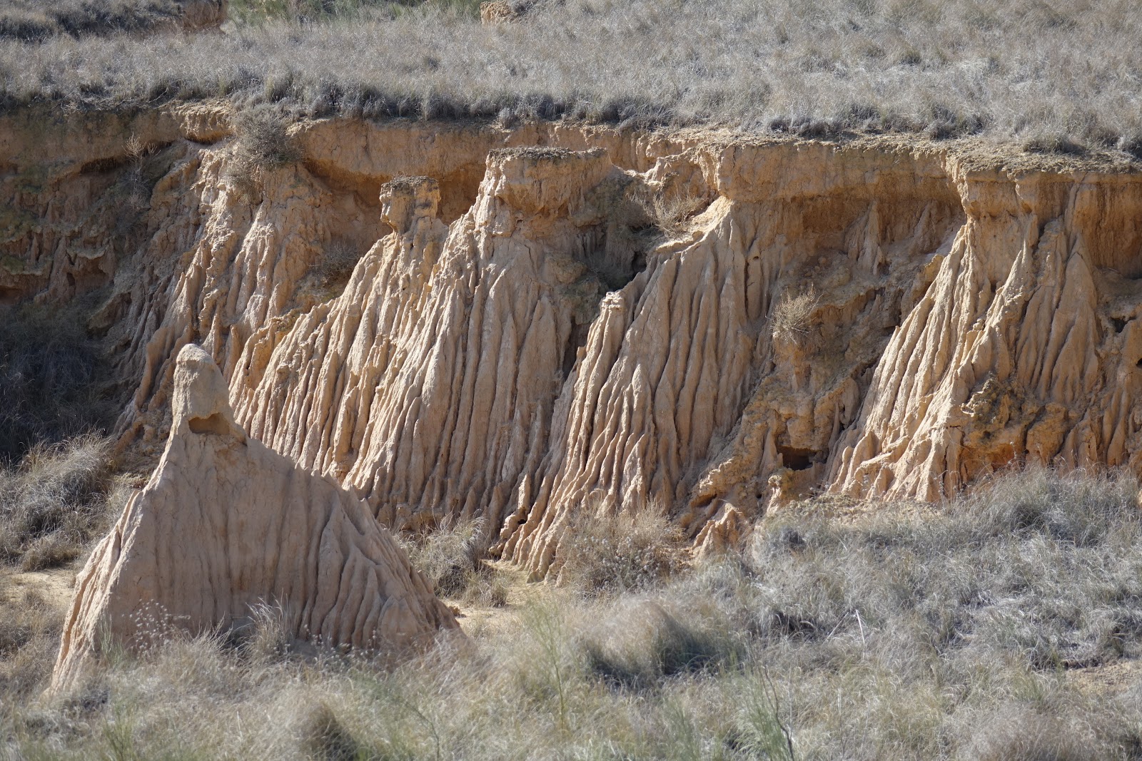 Las Cárcavas de Alfántega (fuente: https://blogimpresoenpiedra.blogspot.com/2019/03/el-charco-y-las-carcavas-alfantega.html).