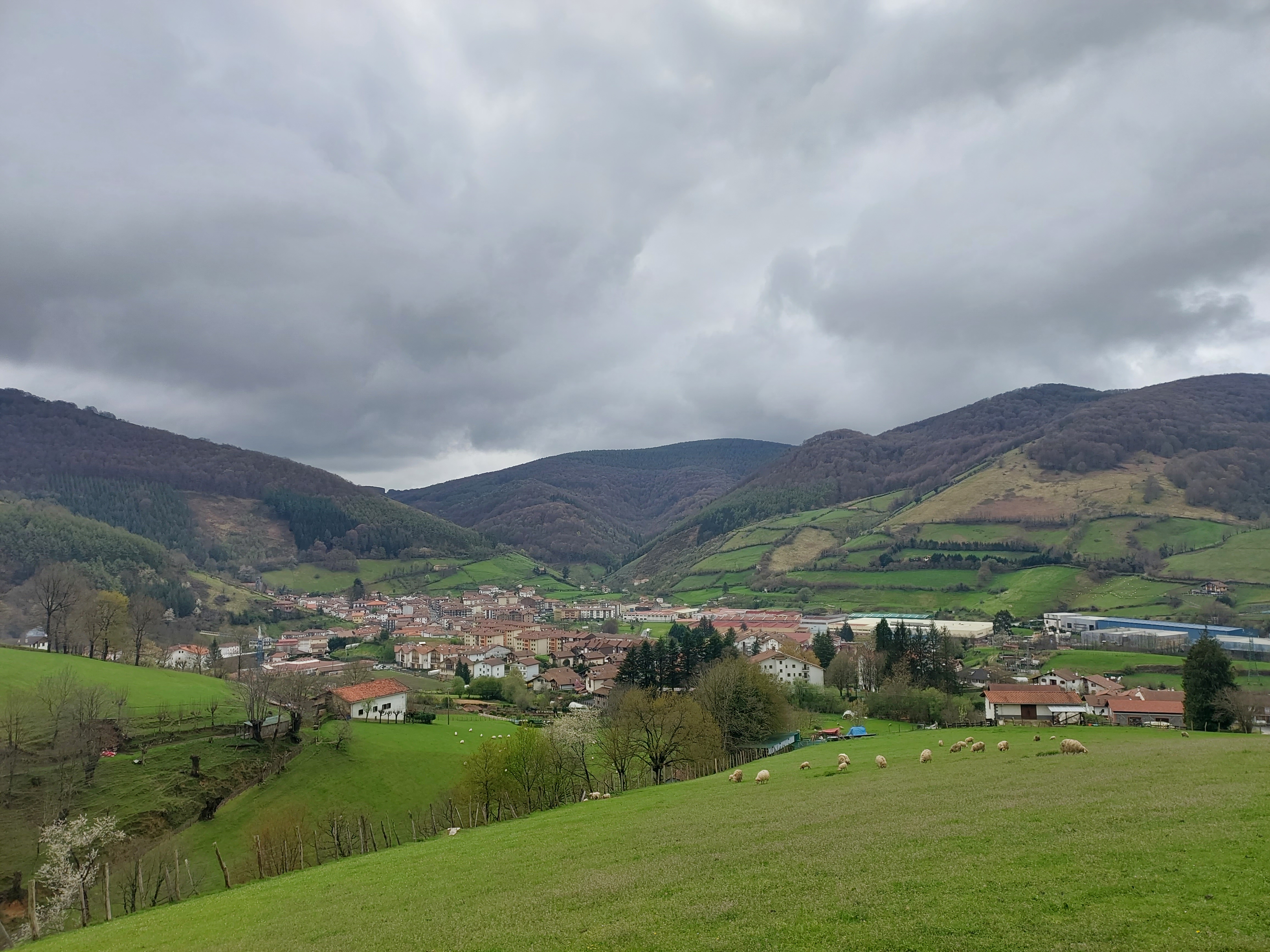 Leitza. Bittorio Lizarragaren argazkia.