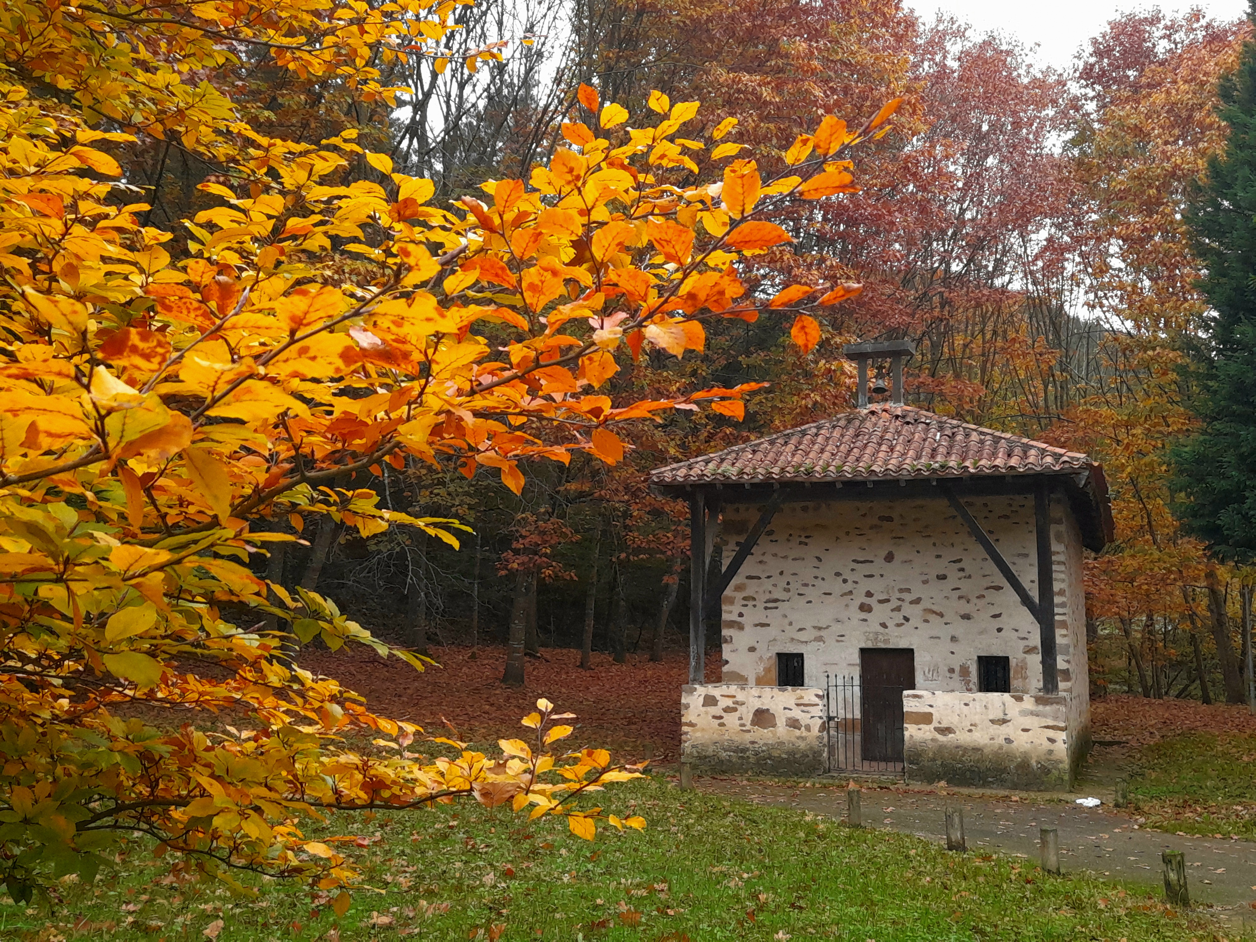 Luiaondoko Santo Domingo ermita. Felix Mugurutzaren argazkia.