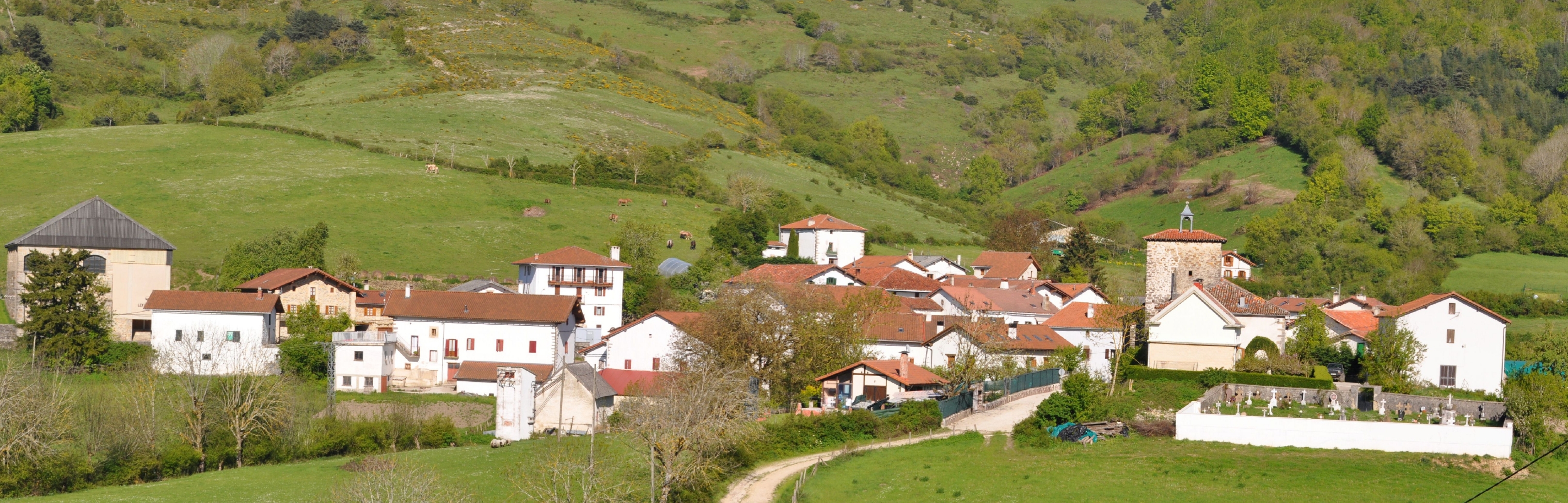 Mezkiritz. Orreaga Ibarraren argazkia