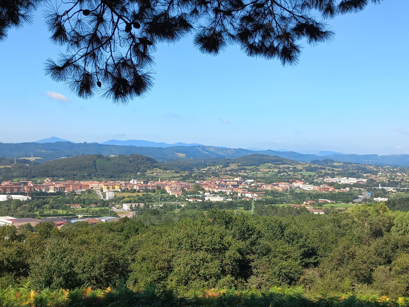 Mungia Trobika auzotik. Eneko Zuloagaren argazkia. 