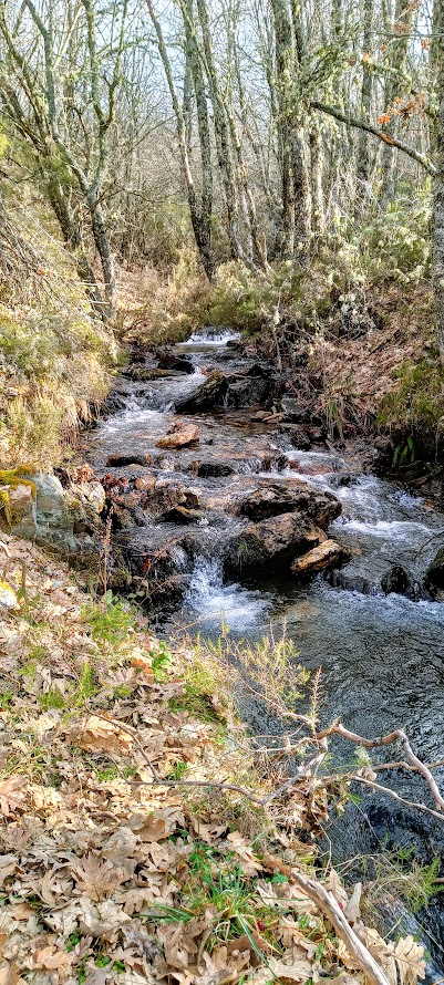 El río Riaza cerca de su nacimiento en Riofrío de Riaza. Es evidente que el nombre originario era simplemente "Riofrío". Foto de E. Nieto Striano.