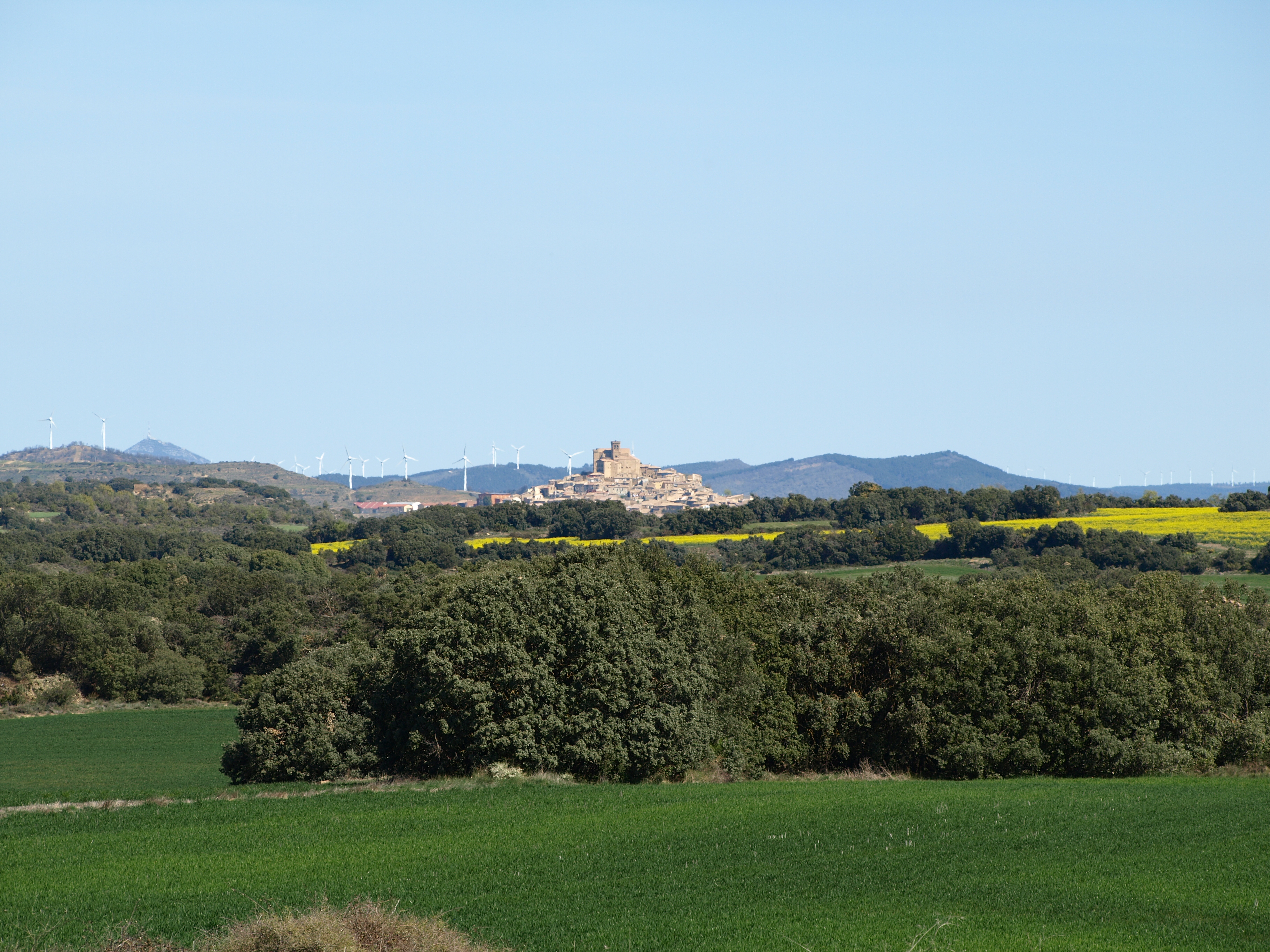 Uxue ermitatik. Atze-atzean, ezkerrean, Higa mendia. Maite Zaratiegiren argazkia