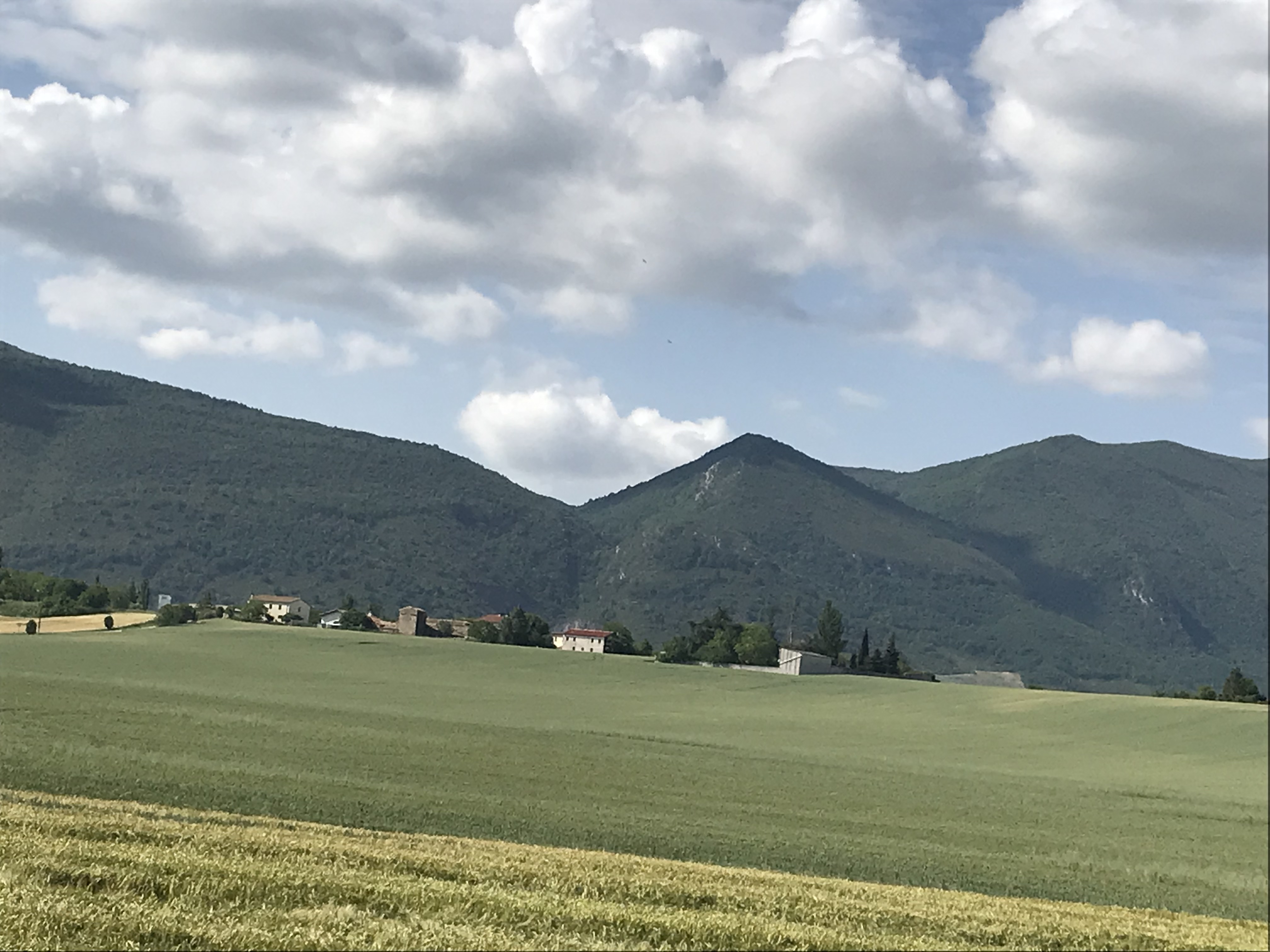 Elortzibarko Zabalegi herria eta, gibelean, Alaitz mendia. Lidia Salaberriren argazkia.