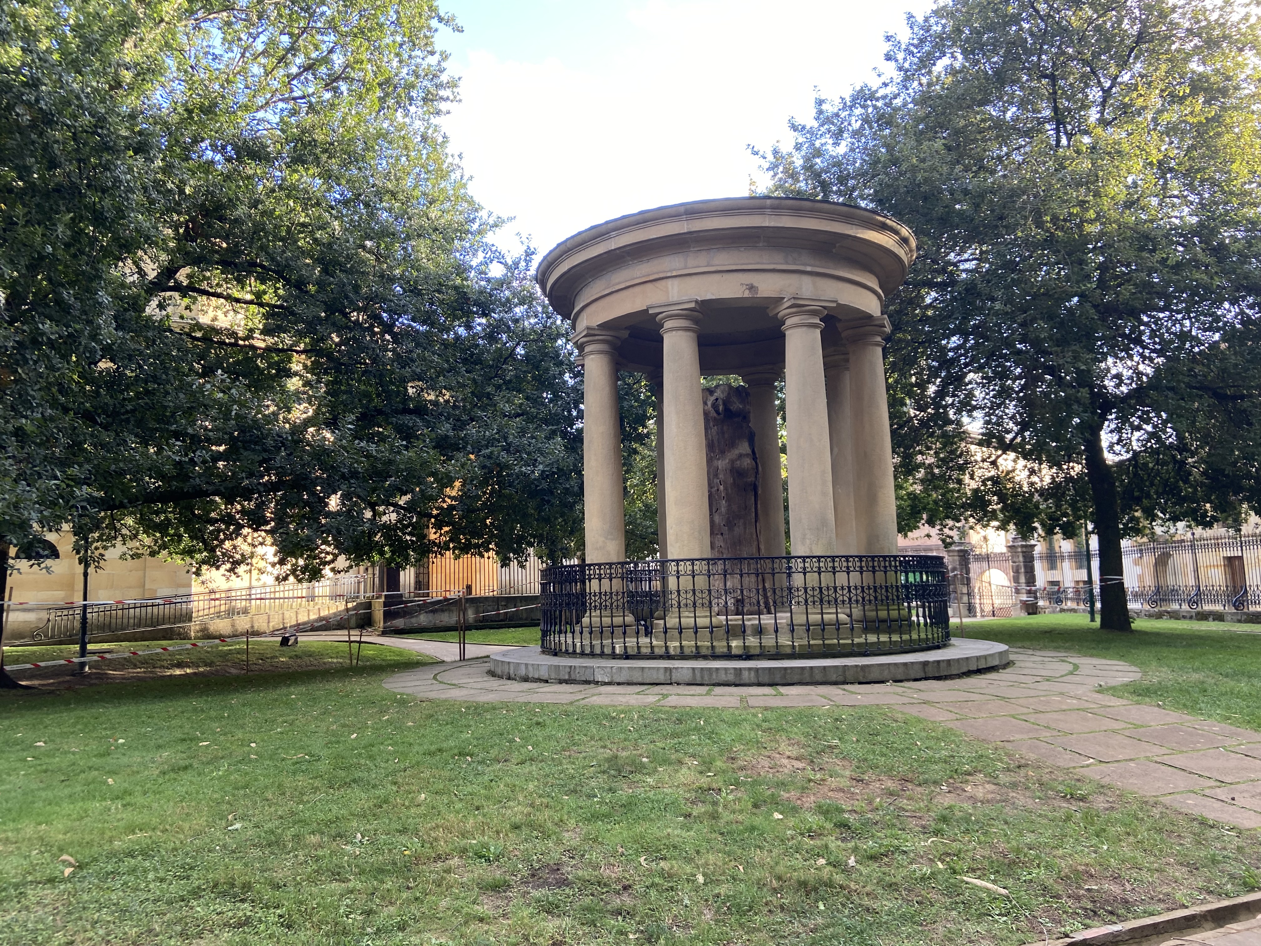 Gernikako zuhaitz zaharra. Madalen Martinen argazkia.