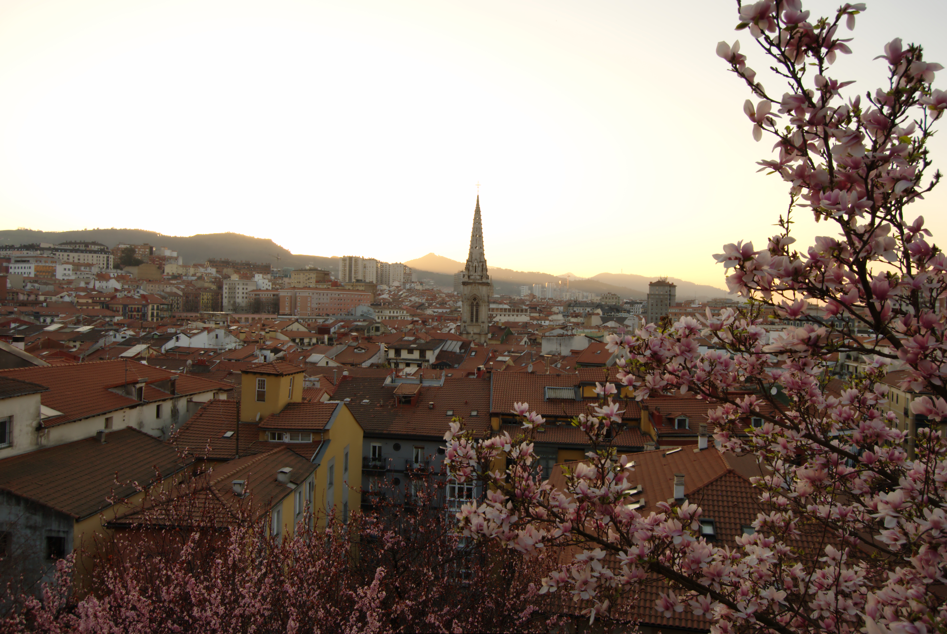 Bilboko alde zaharra, Solokoetxetik. Natalia Evseevaren argazkia.