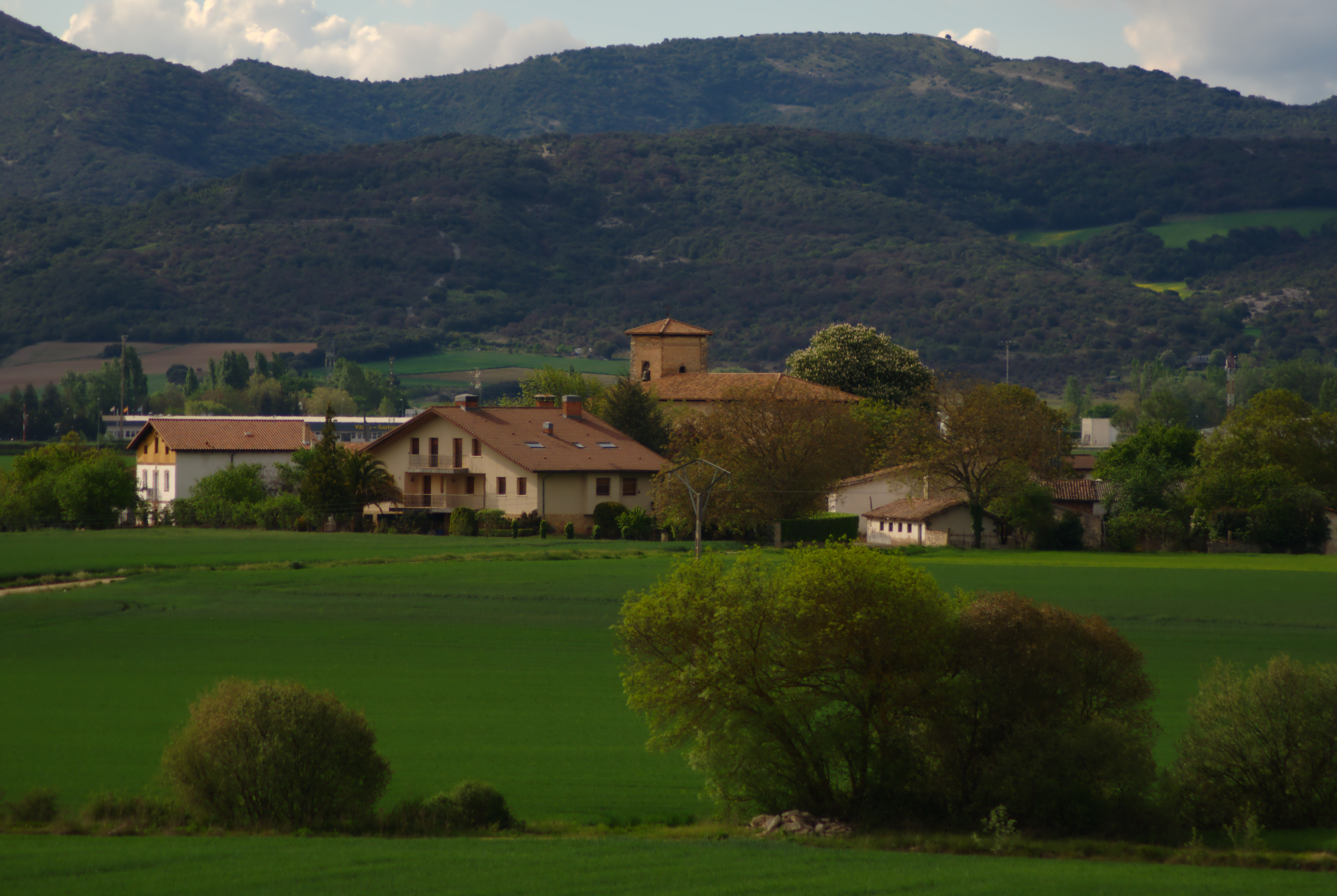 Lopida beste alderdi batetik. Natalia Evseevaren argazkia.