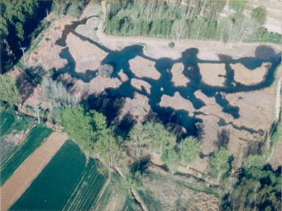 Ojos de Monreal, en el nacimiento del río Jiloca (fuente: https://www.monrealdelcampo.com/turismo/natural-y-cultural/natural/los-ojos-de-monreal/).
