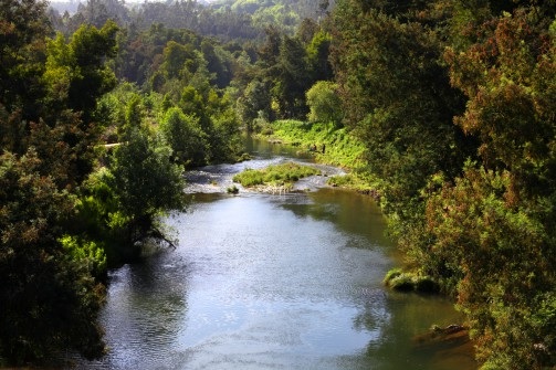 Rio Caima (Câmara Municipal de Oliveira de Azeméis, https://www.cm-oaz.pt/oliveira_de_azemeis.1/espacos_naturais_2.297/45454.1264/rio_caima.a3373.html, 08/01/2023)